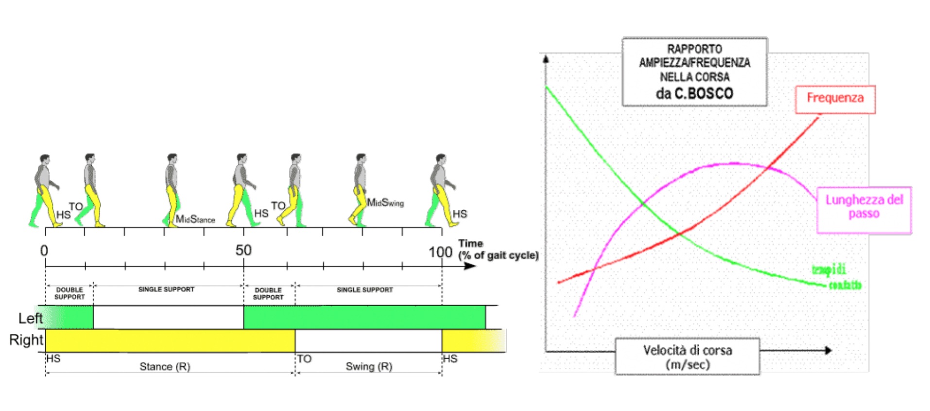 /images/605cf4d164a1e98016fdd257-Posture Lab 3.jpg